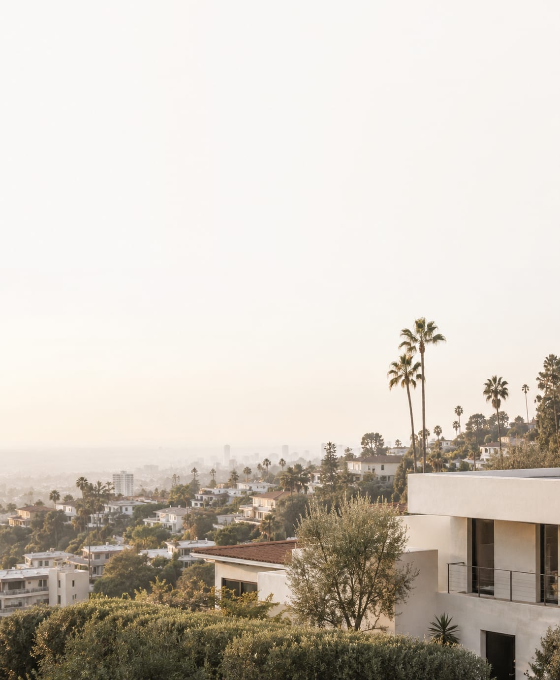 California hillside residential view with palm trees and homes
